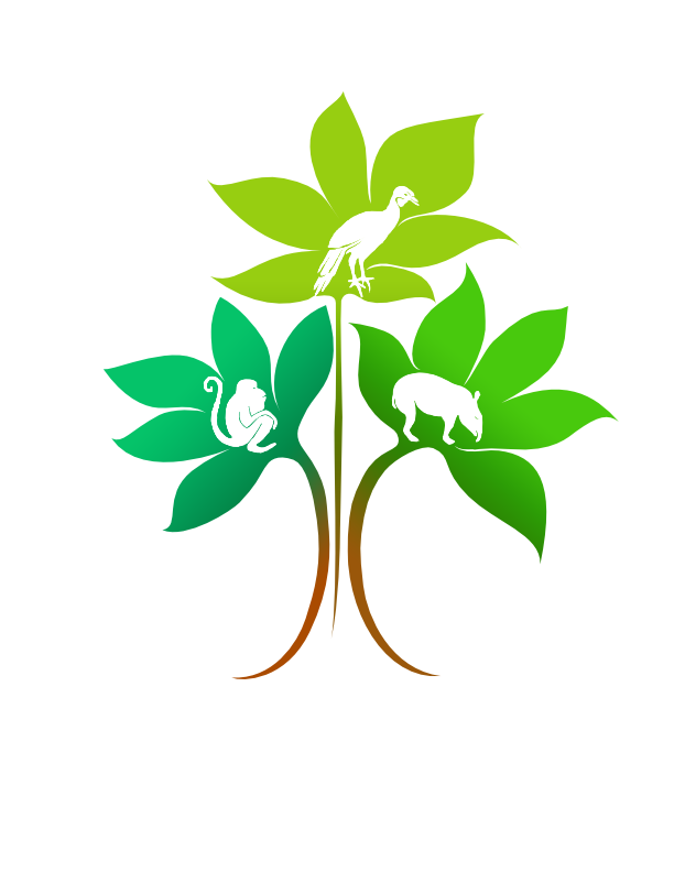 Asociación Comunitaria Yarumo Blanco
